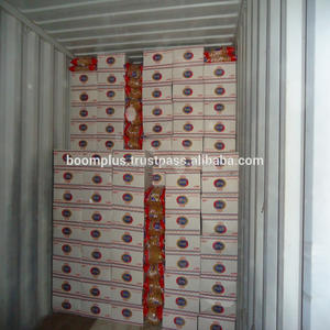 Máquina para Pasta Mada Plus de 5 kg, Macarrones Turcos Penne, Pasta de Alta Calidad a Precio de Mayoreo - Product Image 4