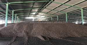 เศษกะลามะม่วง - วัตถุดิบเชื้อเพลิงของเวียดนาม/กากกะลามะม่วง - Product Image 5