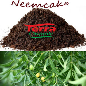 ไบโออินทรีย์สะเดาเค้กที่ได้จากสารตกค้างของเนมเคอร์เนลที่ใช้เป็นปุ๋ยที่มีปริมาณ NPK สูง - Product Image 3