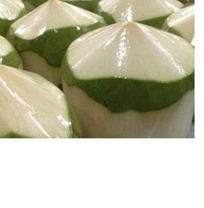 Pièce de pulpe de style frais de diamant de noix de coco vietnamienne importée du Vietnam par Mme Holiday - Product Image 1