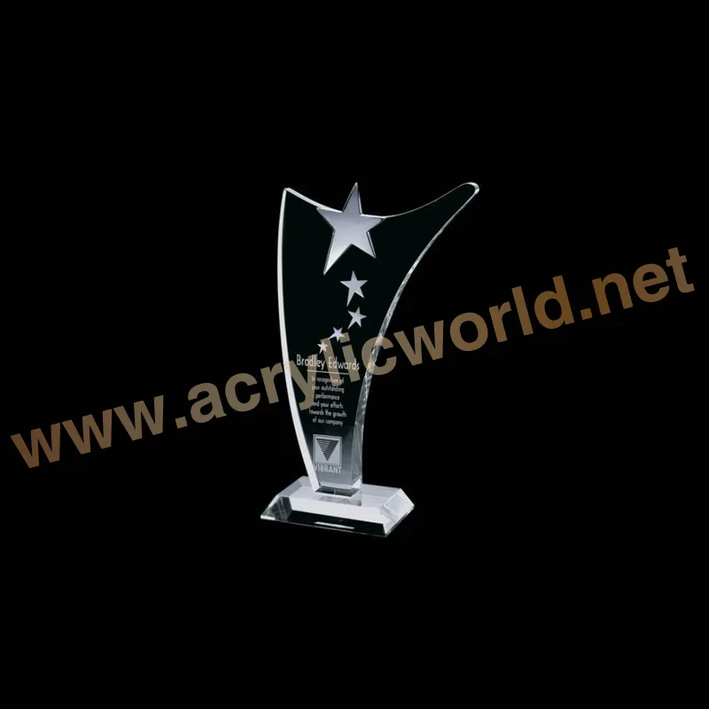 High Quality Acrylic Trophy Award Customized Design With Printing