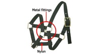 Accessoires de course de chevaux Collier de tête miniature Cuir Nylon Halter