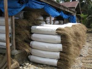 PALMERA DE ESCOBA DE PALMA DE VIETNAM y PALMÓN DE ESCOBA DE COCO AL MEJOR PRECIO/PALO DE ESCOBA DE COCO LISTO para EXPORTAR DESDE VIETNAM/Laura - Product Image 3