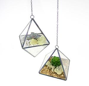 Terrario de cristal al por mayor de la mejor calidad, soporte decorativo para plantas de mesa para flores al aire libre, jarrón de Navidad - Product Image 3