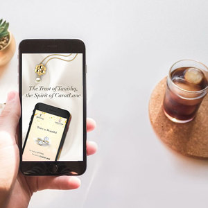 Est ewelry-anagation oftware, rotoababz eServices - Product Image 2