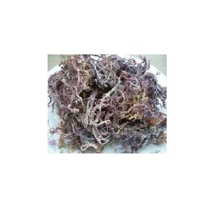 Algues marines séchées EUCHEUMA COTTONII - Product Image 1