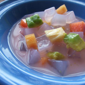 NATA DE COCO COMPRIMÉ SÉCHÉ POUR LA FABRICATION DE JUS DE FRUITS EN GELÉE DE NOIX DE COCO DU VIET NAM/ NATA DE COCO POUR LE DESSERT - Product Image 2