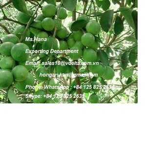 ผลไม้สด/มะนาวสด/มะนาวสด - Product Image 2