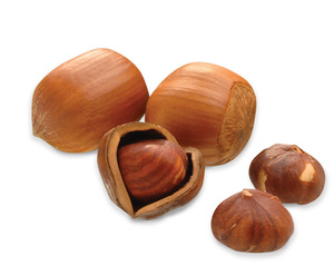 AARNAV GLOBAL EXPORTS Huile de noisette pressée à froid italienne certifiée GMP, en vrac, à prix économique - Product Image 1