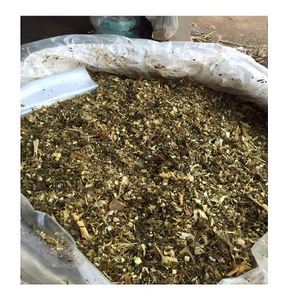 ENSILAGE DE MAÏS EN GROS DE HAUTE QUALITÉ/VIET NAM - Product Image 3