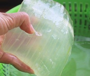 JALEA DE VERA fresca/Cubos de ALOE VERA fresca/dados de aloe vera - Product Image 3