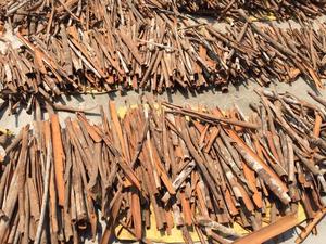 Wholesale Low Price Dried AD Blended Broken Cassia Cinnamon 1% 3% High Oil Content From Yen Bai Vietnam - Product Image 4