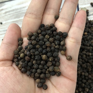 Pimienta negra de Vietnam AD seca cruda 25kg/PP bolsa - Product Image 5