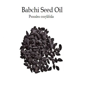 Huile porteuse de qualité supérieure-Prix en vrac de l'huile de graines de babchi (Bakuchi) - Product Image 1