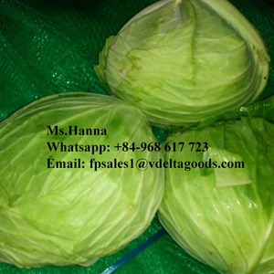 กะหล่ำปลีสดที่มีคุณภาพสูงด้วยราคาที่ดีที่สุด2023 - Product Image 3