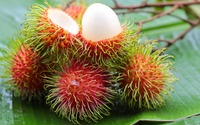Verse Rambutan-Vietnam Beste Kwaliteit/Aaa-Goede Prijs 2020