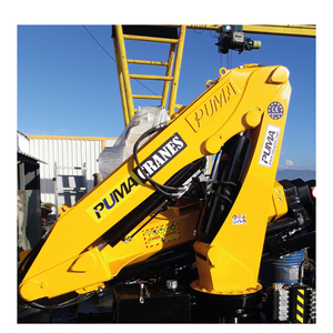 Nuevo mejor precio Puma Pma 100 Camión grúa con 1 año de garantía - Product Image 2