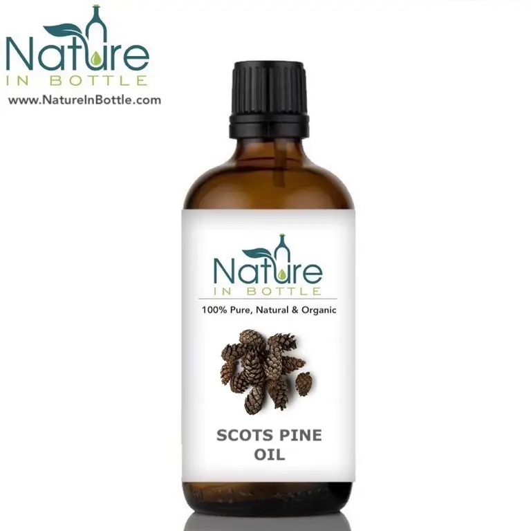 Organic Scotch Pine Oil | Scots Pine Needle Oil | Pinus sylvestris Needle Oil - 100% Organic Essential Oils - Bulk Wholesale Pri