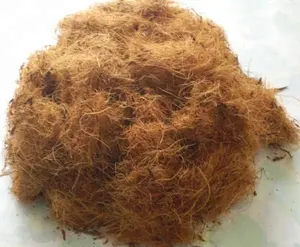 越南金黄椰子椰壳纤维压制成捆