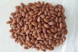 Noyaux d'abricot doux et amer à vendre à bon prix! Commandez maintenant - Product Image 4