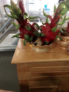 ผลมังกรคุณภาพสูง - ขายผลมังกรแช่แข็งสด - พิทายาเวียดนาม / ผลมังกรแดงสด MS HOLIDAY - Product Image 2