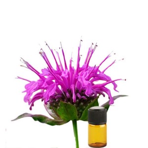 Huile essentielle de Monarda 100% naturelle et biologique, liquide, anti-âge, anti-rides, fortifiant les cheveux, nourrissant les ongles, qualité supérieure, OEM - Product Image 1