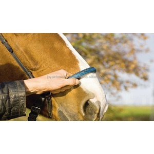 Brida Clásica de Cuero para Caballo, Brida Beniers de Cuero para Caballo, Brida Beniers de Cuero para Caballo de Temporada - Product Image 5