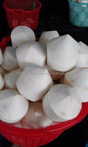 Noix de coco organique en noix de coco fraîche, du vietnam, 2020 - Product Image 3