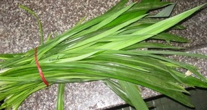 Poudre de pandan lyophilisée de haute qualité Produit agricole de qualité supérieure - Product Image 4