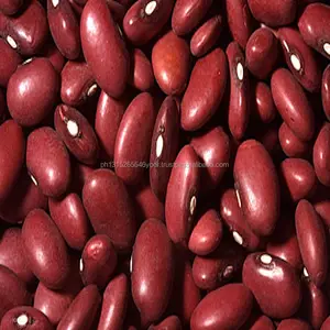 Promotion Sales Kidney White Beans