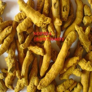 Cúrcuma Seca de Alta Calidad a Precio Accesible 2021 - Product Image 4