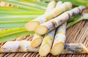 Canne à sucre congelée en tiges, pelée, marque privée OEM, qualité alimentaire, emballage sous vide, Vietnam VDELTA - Product Image 5