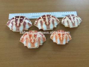 เปลือกปูแห้งธรรมชาติ 100% ขนาดใหญ่ สำหรับร้านอาหารทะเลและอาหารยำ - Product Image 6