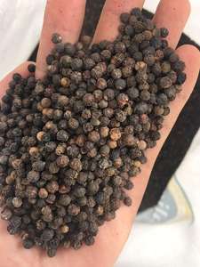 Pimienta negra, alta calidad, boldo, 5MM - Product Image 2