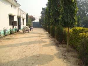 Homemade Custom Anti Slip Cotton Woven <b>Rugs</b> Jacquard Woven <b>Rug</b> Cotton Dhurrie <b>Rug</b> Use for Luxury Home - Product Image 2