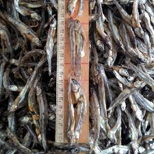 Anchois séchés/Anchois séché Sprat/100% séché au soleil/Mme Lima - Product Image 3