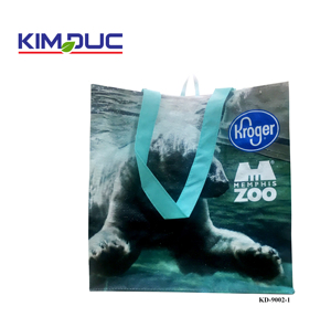 Sac à provisions non tissé de PP, sac fourre-tout écologique avec logo personnalisé en gros - Product Image 4