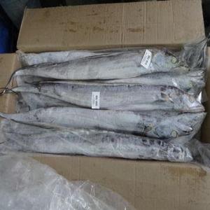 ปลาแซลมอนปลาสีแดงสดแช่แข็ง - Product Image 4