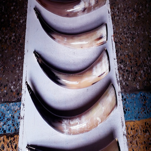 Cuernos para Beber Tallados a Mano con Cuerno Animal, con Borde Superior de Latón y Perilla de Latón en el Extremo - Product Image 6