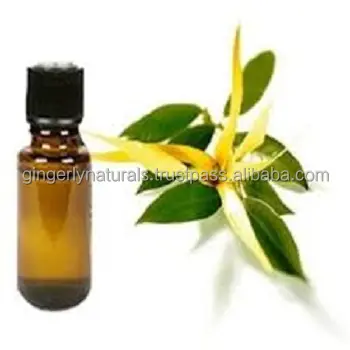 Ylang-ylang-aceite de Spa extraído, masaje