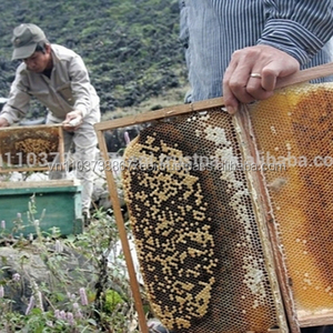 น้ำผึ้งบริสุทธิ์100% ในเวียดนาม - Product Image 5