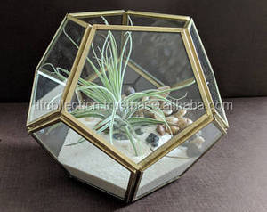 Terrario geométrico moderno de vidrio con marco dorado y suculentas, florero de mesa - Product Image 3