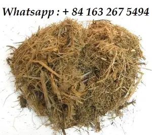 Baga de caña de azúcar vietnamita, alimento prémium para animales, proveniente de prácticas agrícolas sostenibles - Product Image 1