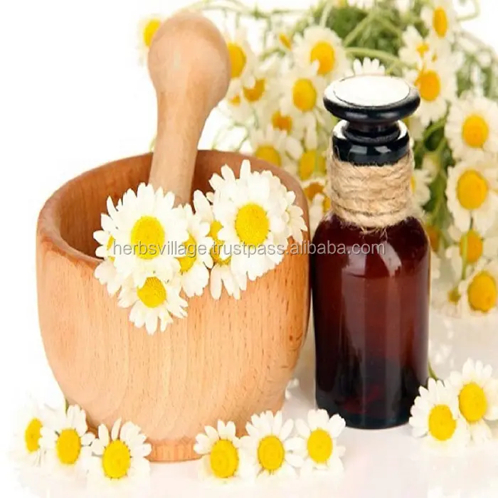 Pure German Chamomile Essential Oil (Matricaria recutita) for Aromatherapy Uses