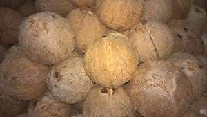 NOIX DE COCO BRUNE NOIX DE COCO SÉCHÉE SEMI HUSK NOIX DE COCO - Product Image 5