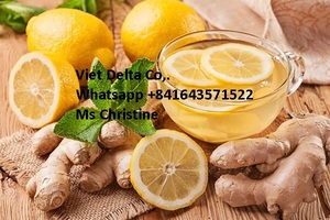 Fournisseur de gingembre frais au Vietnam prix du marché du gingembre à prix compétitif - Product Image 4