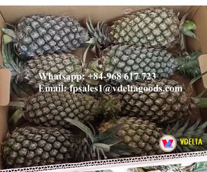 <b>Fresh</b> <b>Pineapple</b> Fruit/Canned <b>Pineapple</b> - Product Image 3