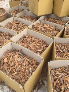 Wholesale Low Price Dried AD Blended Broken Cassia Cinnamon 1% 3% High Oil Content From Yen Bai Vietnam - Product Image 6
