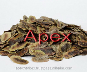 Gousses de Séné Cassia Angustifolia séchées TBC - Product Image 2