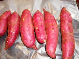 แป้งมันฝรั่งหวาน-ผงมันหวาน - Product Image 6